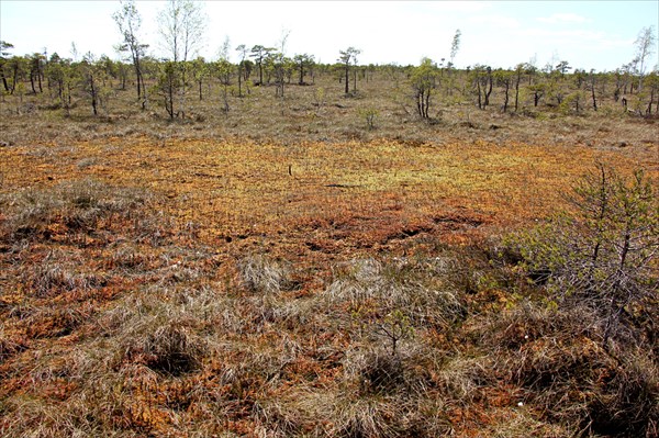 143-Национальныи парк Кемери